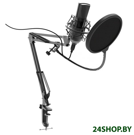 Микрофон Ritmix RDM-180 Микрофон Ritmix RDM-180
