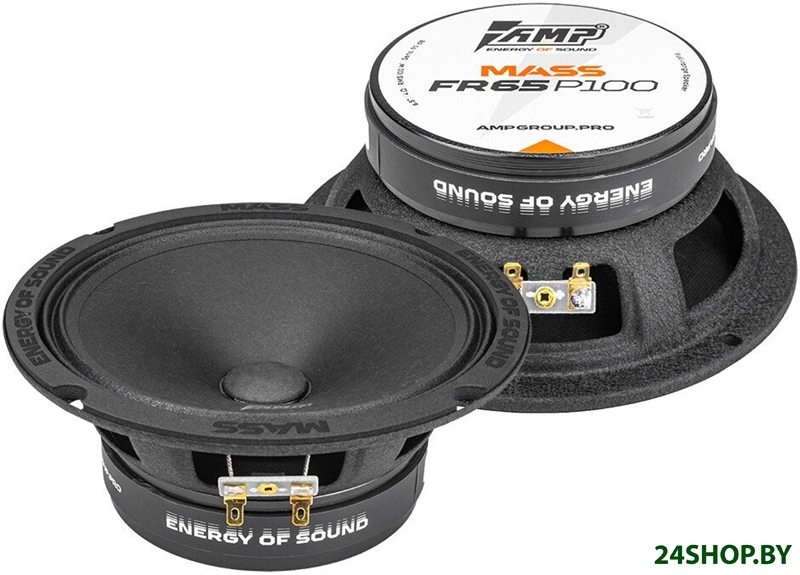 Широкополосная АС AMP Mass FR65P100 Широкополосная АС AMP Mass FR65P100