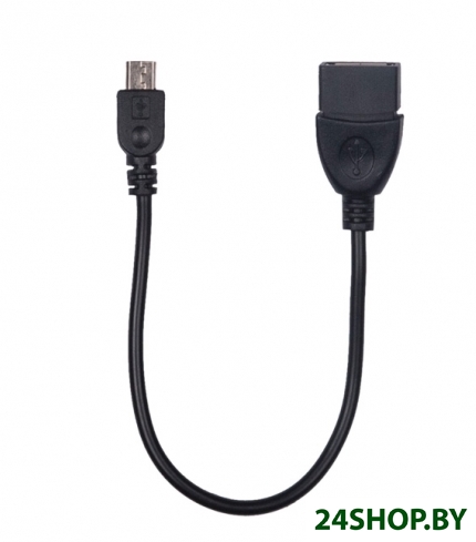 Адаптер Ritmix RCC-010 Адаптер Ritmix RCC-010