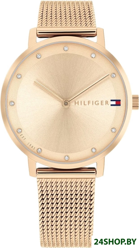 Наручные часы Tommy Hilfiger 1782729 Наручные часы Tommy Hilfiger 1782729