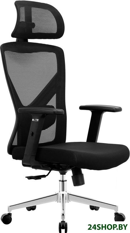 Офисное кресло Evolution ErgoLine 2 (черный) Офисное кресло Evolution ErgoLine 2 (черный)