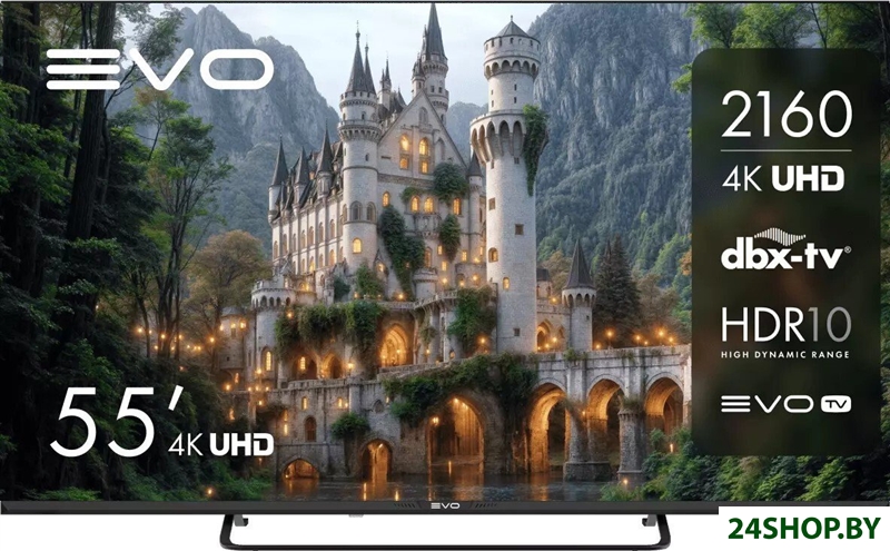 Телевизор Evo TV 55 Black TD0051754RU Телевизор Evo TV 55 Black TD0051754RU
