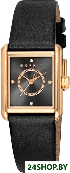 Наручные часы Esprit ES1L397L0035 Наручные часы Esprit ES1L397L0035