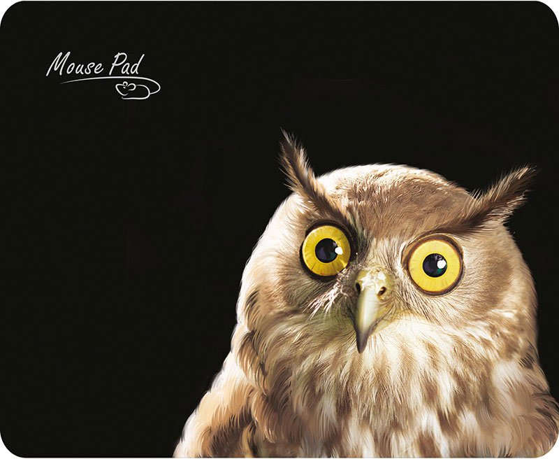 Коврик для мыши Dialog PM-H15 Owl Коврик для мыши Dialog PM-H15 Owl