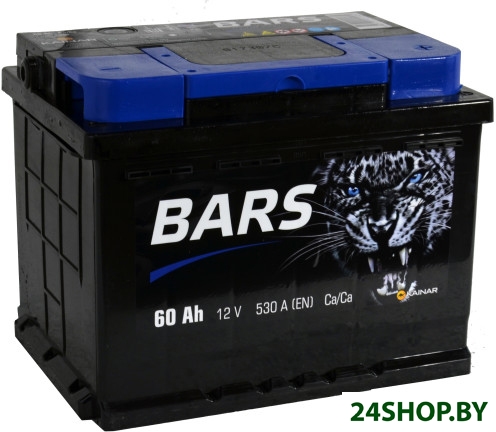 Автомобильный аккумулятор BARS 6СТ-60 Евро (60 А·ч) Автомобильный аккумулятор BARS 6СТ-60 Евро (60 А·ч)