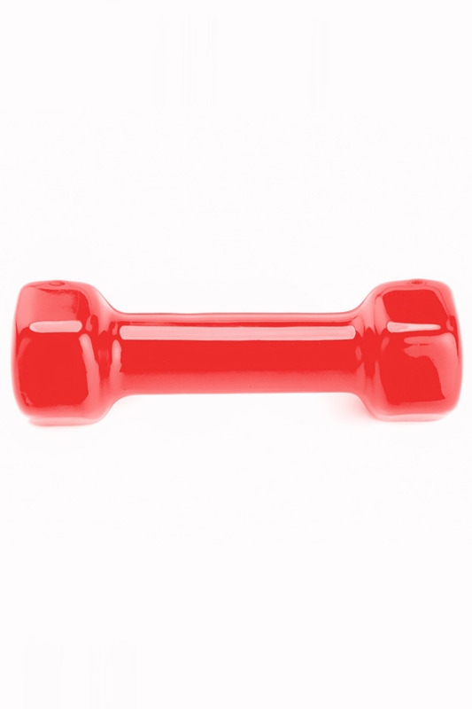 Гантель BRADEX SF 0159 (1 кг, красный) Гантель BRADEX SF 0159 (1 кг, красный)
