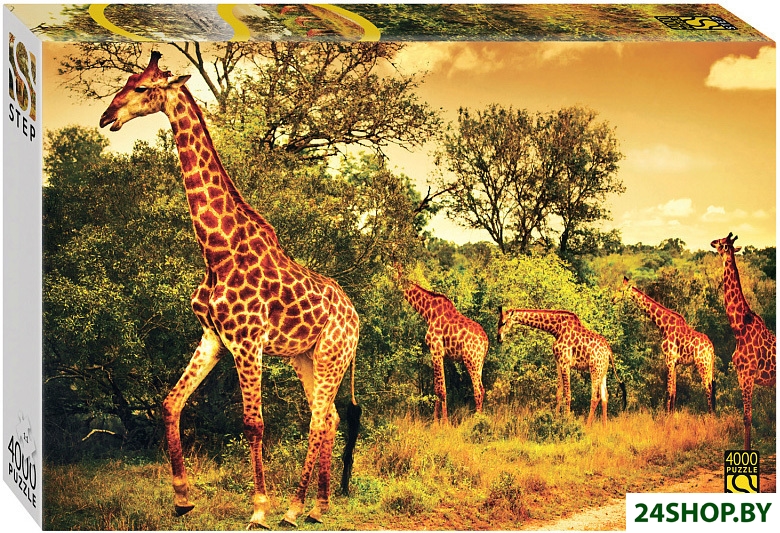 Пазл Step Puzzle Южноафриканские жирафы 85420 (4000 эл) Пазл Step Puzzle Южноафриканские жирафы 85420 (4000 эл)