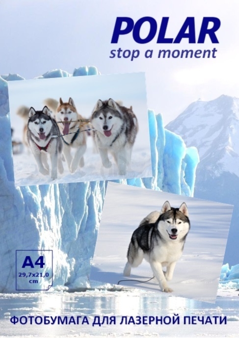 Фотобумага Polar A4LDM12050 матовая A4, двухсторонняя, 120 г/м2, 50 л Фотобумага Polar A4LDM12050 матовая A4, двухсторонняя, 120 г/м2, 50 л