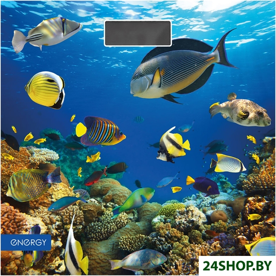 Напольные весы Energy EN-419M Напольные весы Energy EN-419M