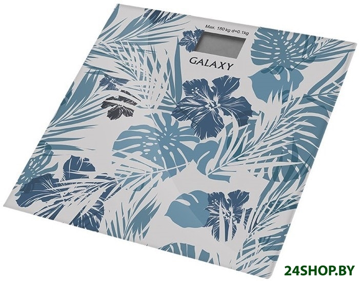 Весы GALAXY GL 4801 Весы GALAXY GL 4801