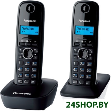 Радиотелефон Panasonic KX-TG1612RU-1 Радиотелефон Panasonic KX-TG1612RU-1