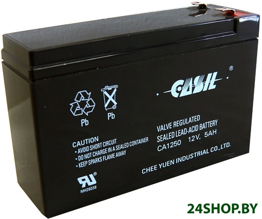Аккумулятор для ИБП Casil CA1250 (5 А·ч) Аккумулятор для ИБП Casil CA1250 (5 А·ч)