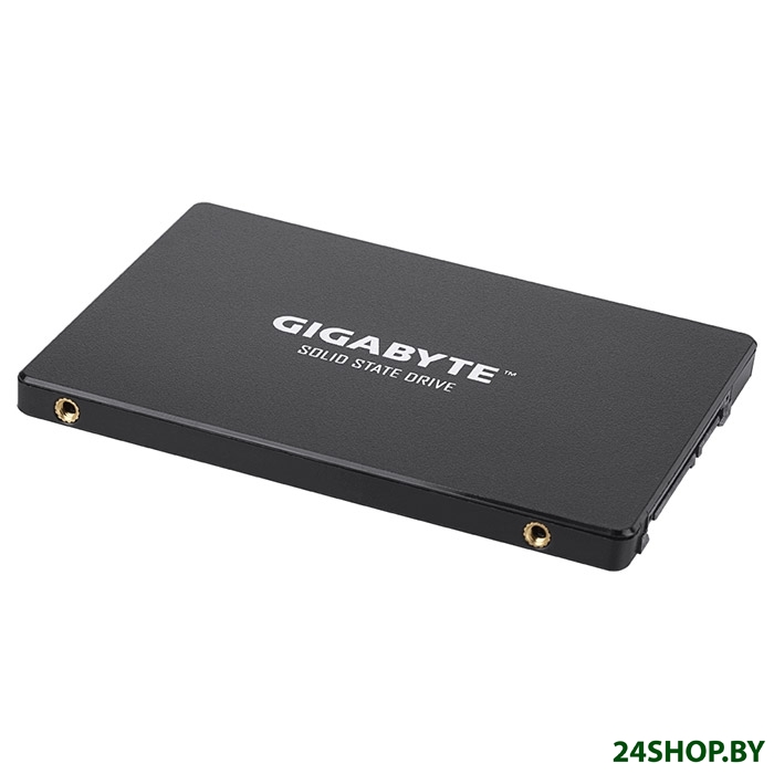 SSD Gigabyte 480GB GP-GSTFS31480GNTD SSD Gigabyte 480GB GP-GSTFS31480GNTD