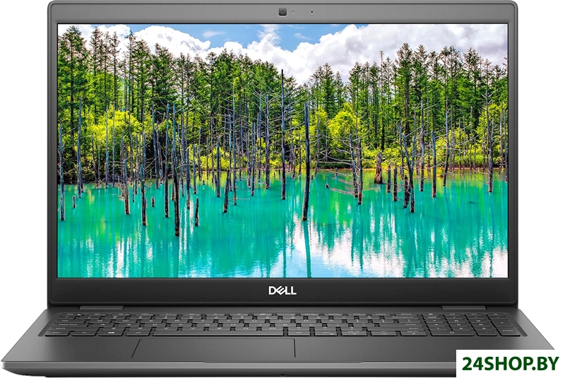 Ноутбук Dell Latitude 15 3510-1513 Ноутбук Dell Latitude 15 3510-1513