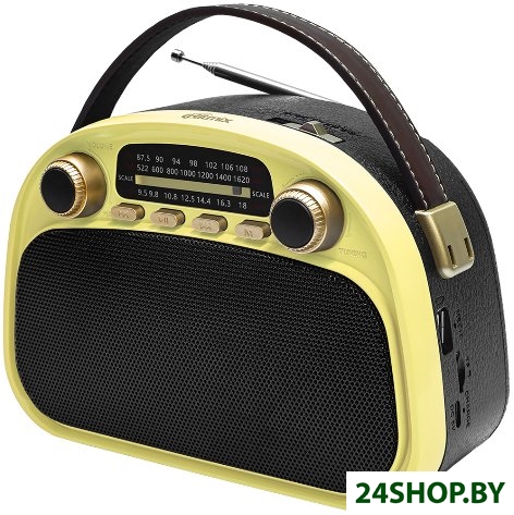 Радиоприемник Ritmix RPR-040 (лимонный) Радиоприемник Ritmix RPR-040 (лимонный)