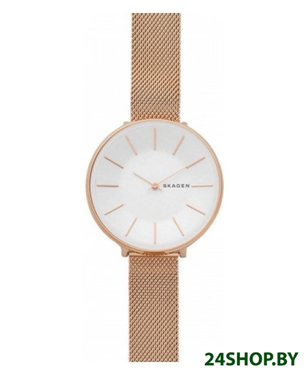 Наручные часы Skagen SKW2688 Наручные часы Skagen SKW2688