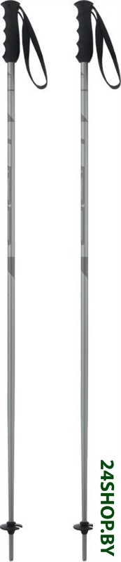 Лыжные палки Elan Speedrod 2024-2025 CD531524-125 (р.125, серый) Лыжные палки Elan Speedrod 2024-2025 CD531524-125 (р.125, серый)