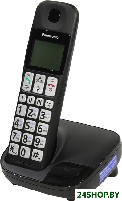Радиотелефон Panasonic KX-TGE110RUB Радиотелефон Panasonic KX-TGE110RUB
