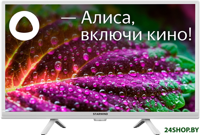 Телевизор StarWind SW-LED24SG312 Телевизор StarWind SW-LED24SG312