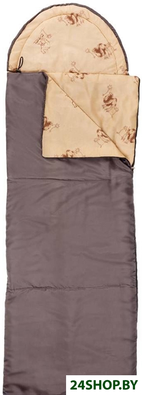 Спальный мешок Active Lite -15° (темно-серый) Спальный мешок Active Lite -15° (темно-серый)