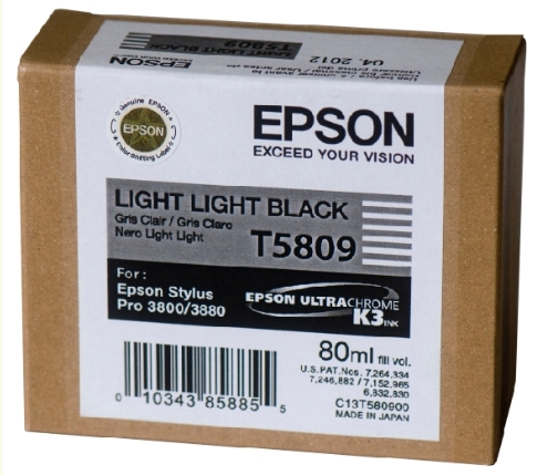 Картридж для принтера Epson C13T580900 Картридж для принтера Epson C13T580900