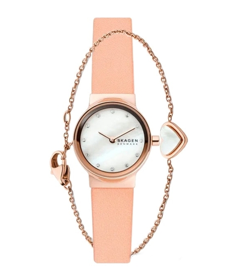 Набор часов с украшениями Skagen SKW1113 Набор часов с украшениями Skagen SKW1113