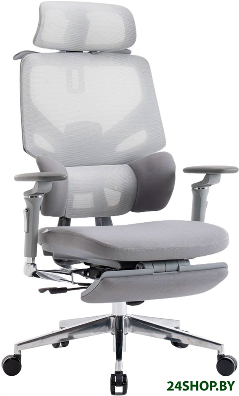 Офисное кресло Evolution LumbarPro Elite Grey (серый) Офисное кресло Evolution LumbarPro Elite Grey (серый)