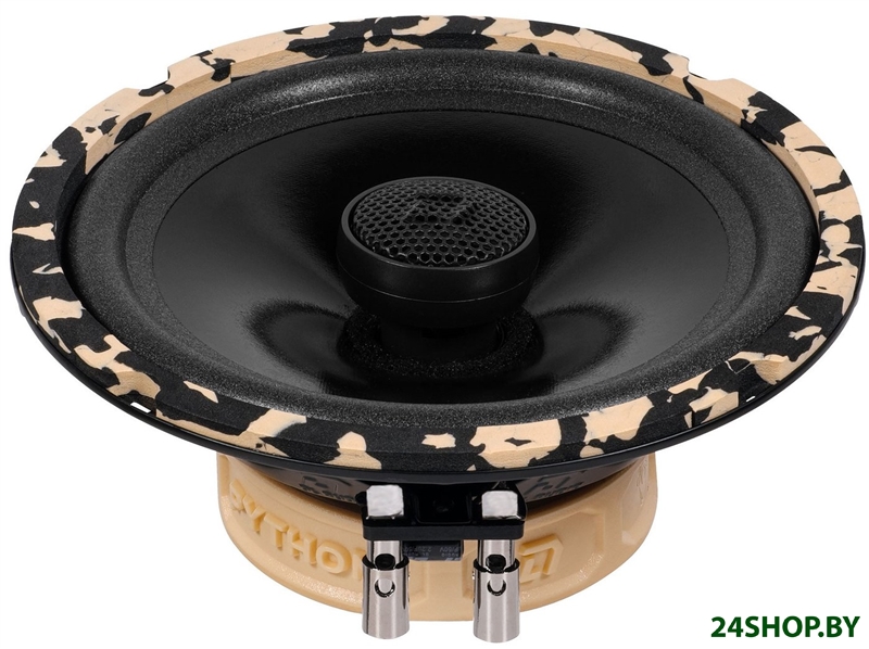 Коаксиальная АС DL Audio Python 165 Coax Коаксиальная АС DL Audio Python 165 Coax
