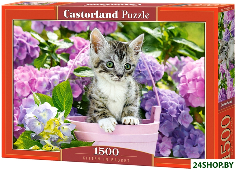 Пазл Castorland Котенок в корзине C-152001 (1500 эл) Пазл Castorland Котенок в корзине C-152001 (1500 эл)