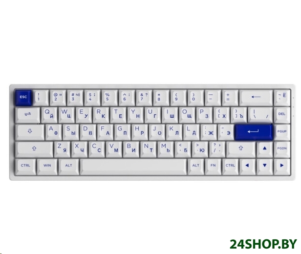 Клавиатура Akko 3068B Plus White & Blue (Akko CS Jelly Purple) Клавиатура Akko 3068B Plus White & Blue (Akko CS Jelly Purple)