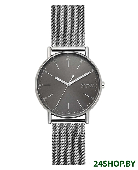 Наручные часы Skagen SKW6577 Наручные часы Skagen SKW6577