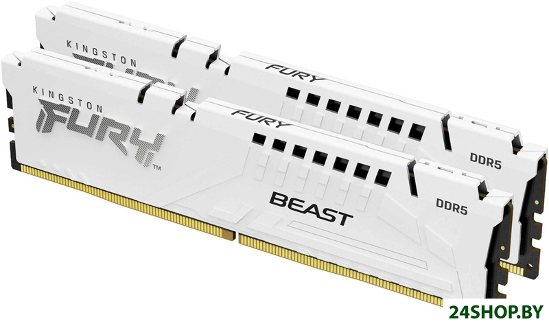 Оперативная память Kingston FURY Beast 2x16ГБ DDR5 6000 МГц KF560C30BWK2-32 Оперативная память Kingston FURY Beast 2x16ГБ DDR5 6000 МГц KF560C30BWK2-32