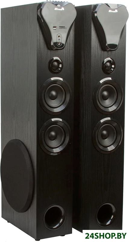 Акустика Eltronic 20-80 Home Sound (черный) Акустика Eltronic 20-80 Home Sound (черный)