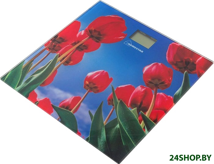 Напольные весы HOMESTAR HS-6001I Напольные весы HOMESTAR HS-6001I