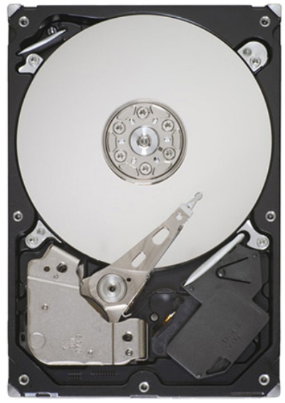 Жесткий диск Seagate ST31000528AS Жесткий диск Seagate ST31000528AS