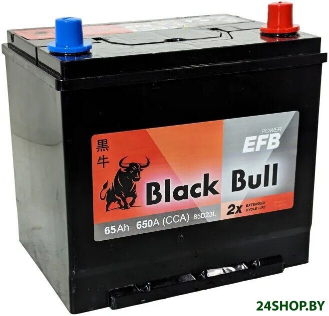Автомобильный аккумулятор Black Bull Asia EFB JR (65 А·ч) Автомобильный аккумулятор Black Bull Asia EFB JR (65 А·ч)