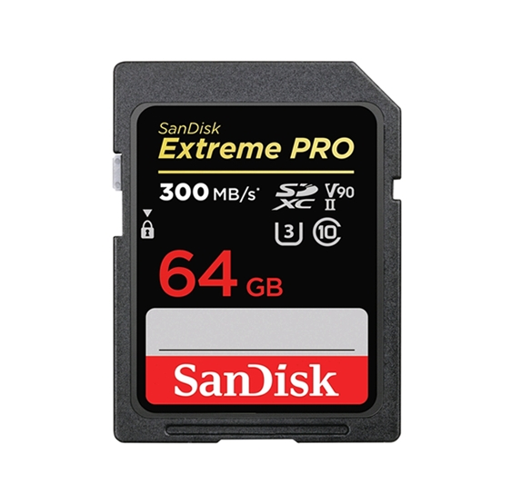 Карта памяти SanDisk Extreme PRO SDXC 64Gb SDSDXDK-064G-GN4IN Карта памяти SanDisk Extreme PRO SDXC 64Gb SDSDXDK-064G-GN4IN