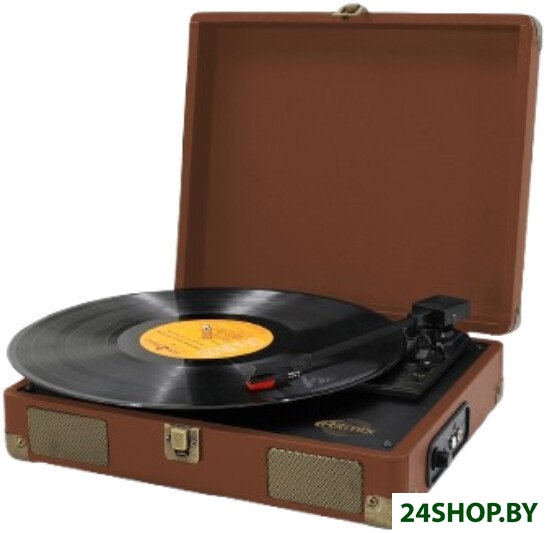 Виниловый проигрыватель Ritmix LP-100 (коричневый) Виниловый проигрыватель Ritmix LP-100 (коричневый)