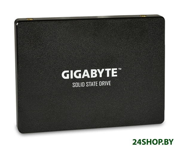 SSD Gigabyte 1TB GP-GSTFS31100TNTD SSD Gigabyte 1TB GP-GSTFS31100TNTD