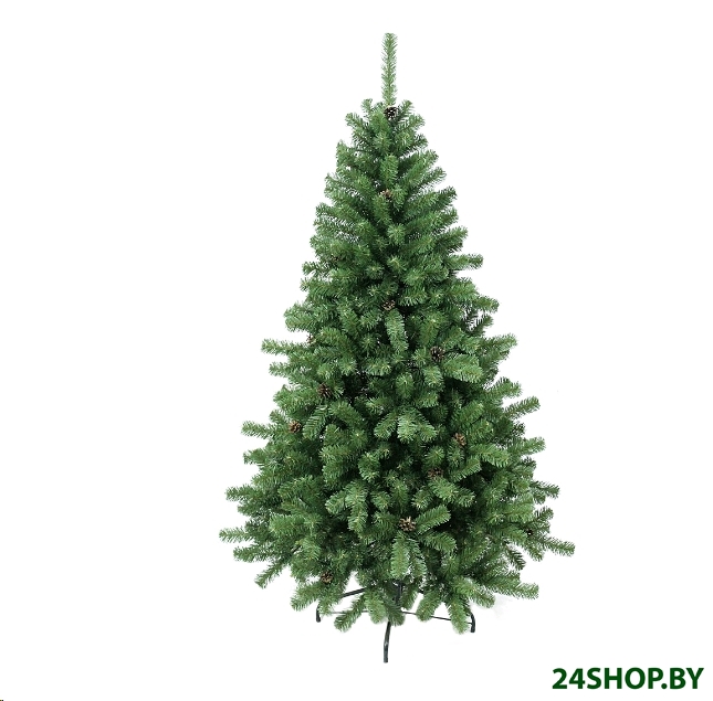 Ель Beatrees Nicolle с шишками 1,85 м (10113185) Ель Beatrees Nicolle с шишками 1,85 м (10113185)