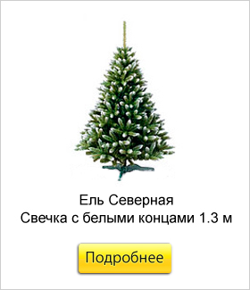 Ель-Северная-Свечка-с-белыми-концами-1.jpg Ель-Северная-Свечка-с-белыми-концами-1.jpg