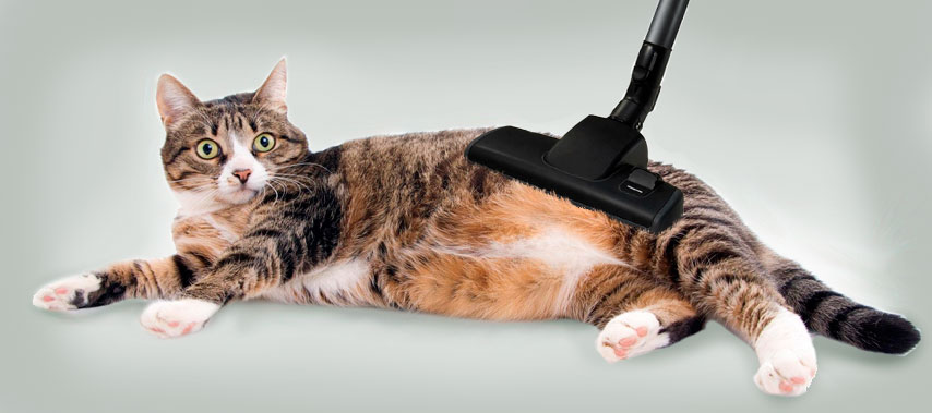 пылесос.jpg пылесос.jpg