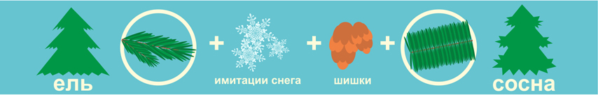 елка или сосна.jpg елка или сосна.jpg