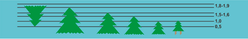 размеры.jpg размеры.jpg