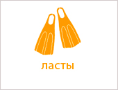 ласты.jpg ласты.jpg