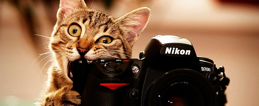 хобби.jpg хобби.jpg