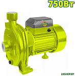 DTWPCA03