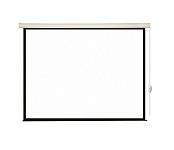 Картинка Проекционный экран Lumien Eco Control 125x200 LEC-100114