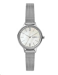 Картинка Наручные часы Skagen Anita SKW2966