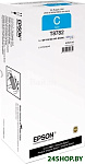 C13T878240